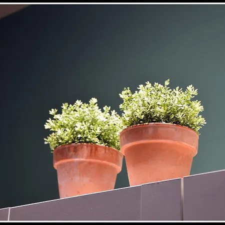 Palazzina Magnolia San Benedetto del Tronto