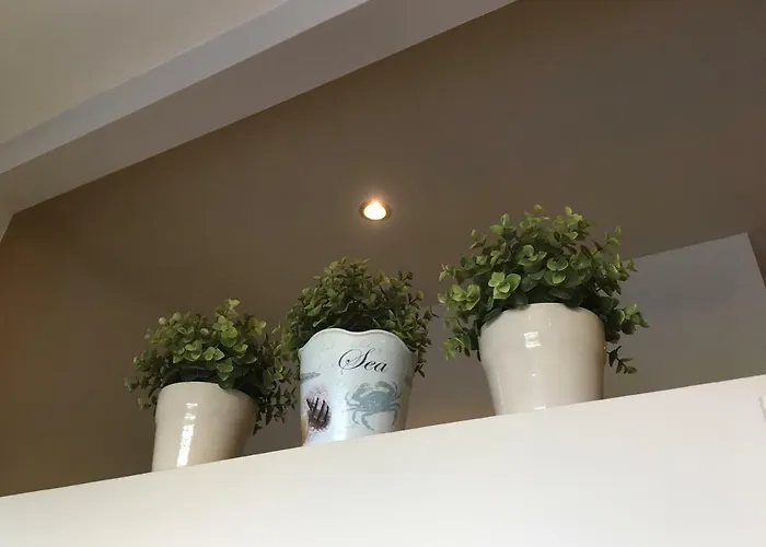 Apartment Palazzina Magnolia San Benedetto del Tronto